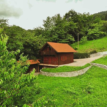 Lazec Country House Villa Pluznje Exteriör bild