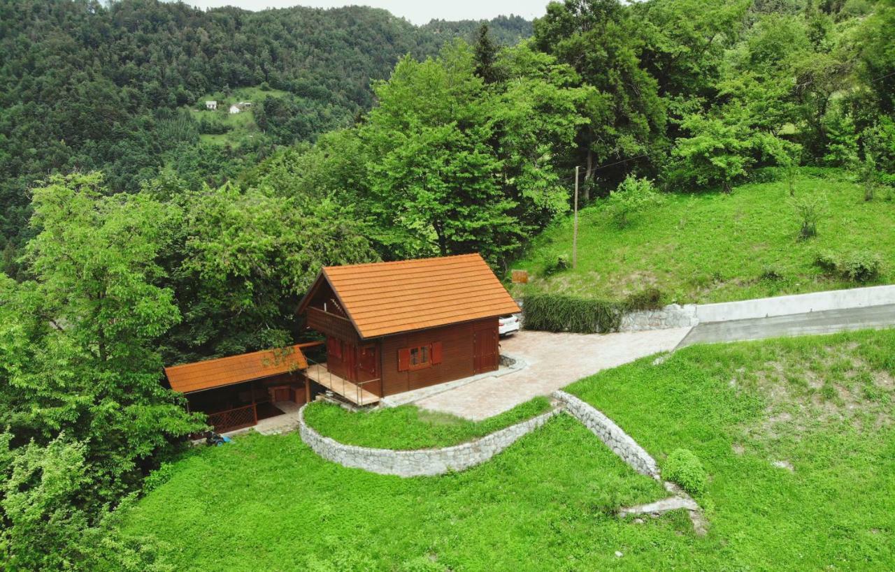 Lazec Country House Villa Pluznje Exteriör bild