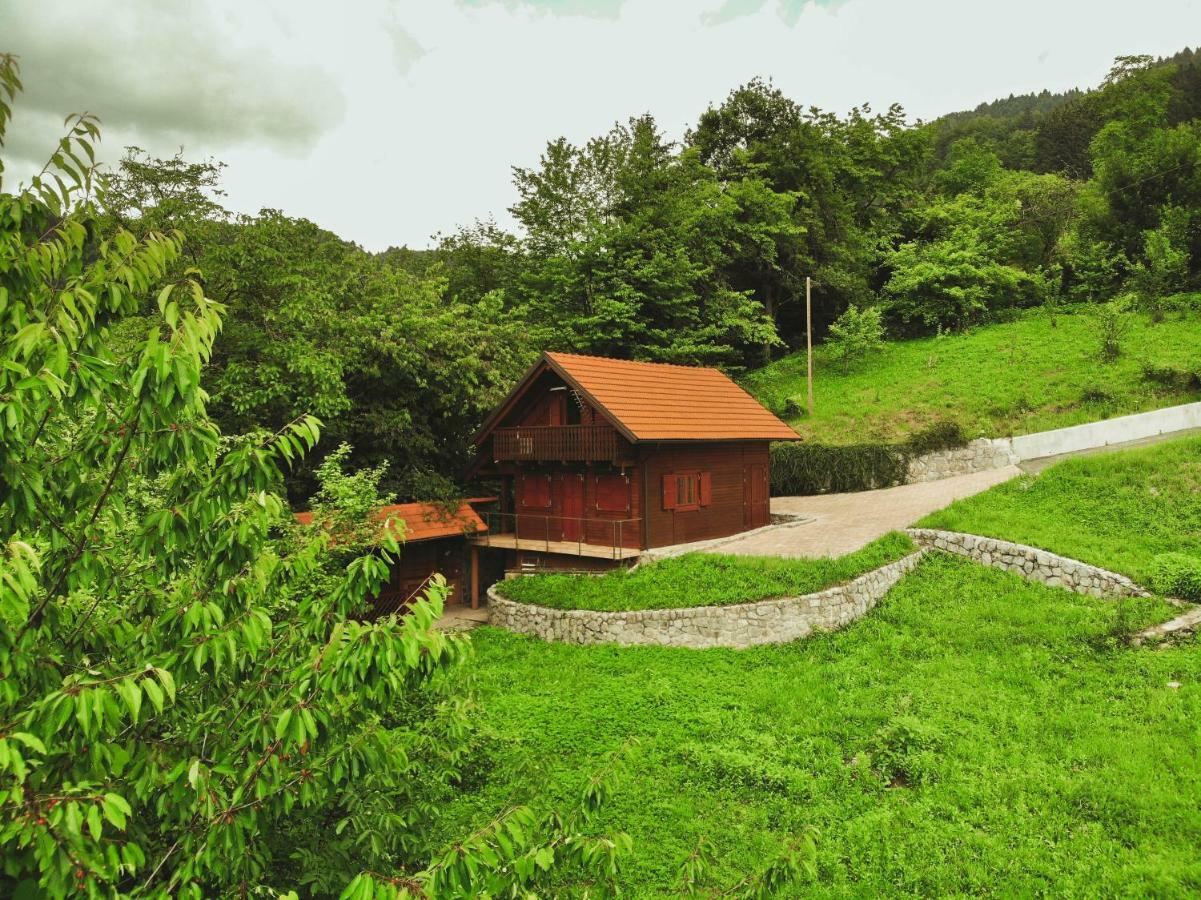 Lazec Country House Villa Pluznje Exteriör bild