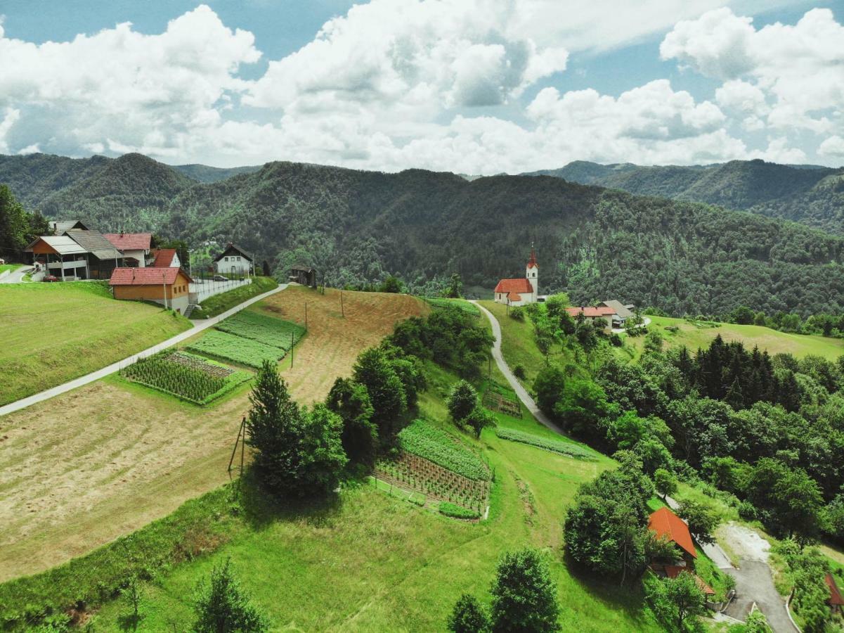 Lazec Country House Villa Pluznje Exteriör bild
