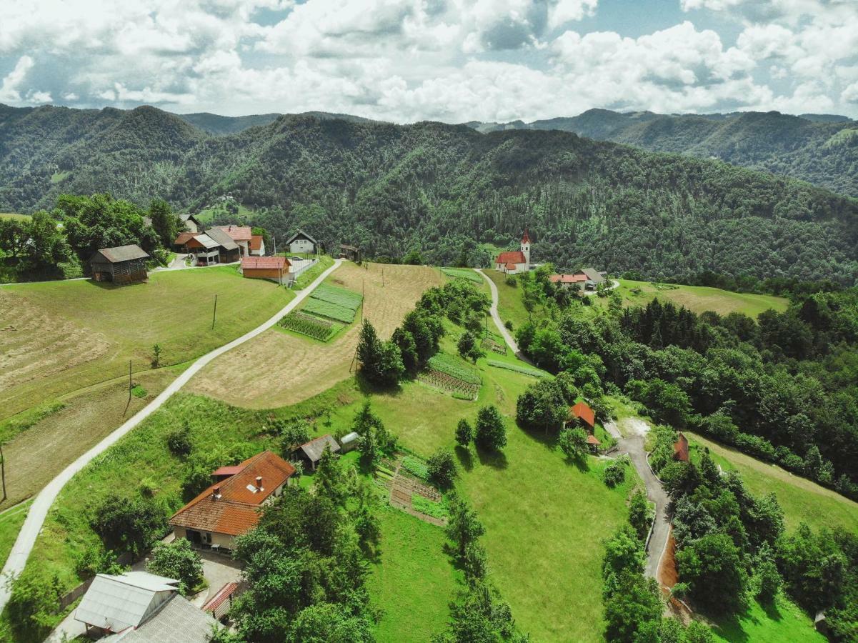 Lazec Country House Villa Pluznje Exteriör bild